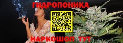хмурый Гусь-Хрустальный