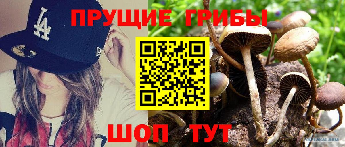 Псилоцибиновые грибы MAGIC MUSHROOMS  Вход с VPN  Михайловск 